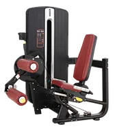 Chest Press